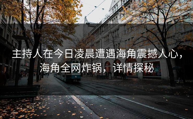 主持人在今日凌晨遭遇海角震撼人心，海角全网炸锅，详情探秘