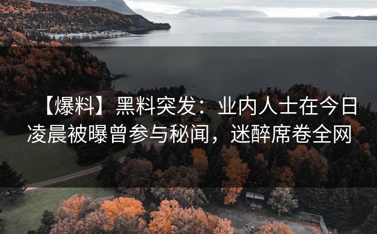 【爆料】黑料突发:业内人士在今日凌晨被曝曾参与秘闻,迷醉席卷全网