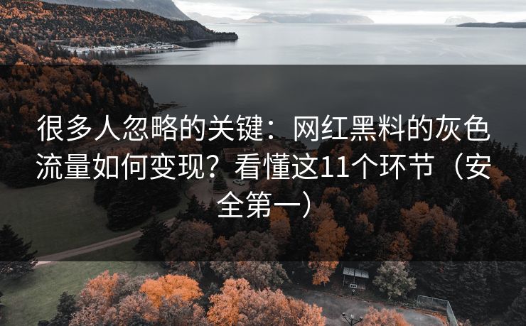 很多人忽略的关键：网红黑料的灰色流量如何变现？看懂这11个环节（安全第一）