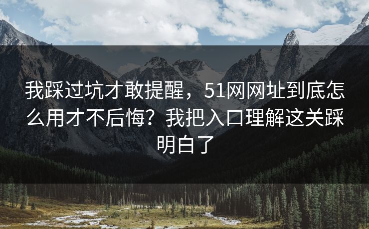 我踩过坑才敢提醒，51网网址到底怎么用才不后悔？我把入口理解这关踩明白了
